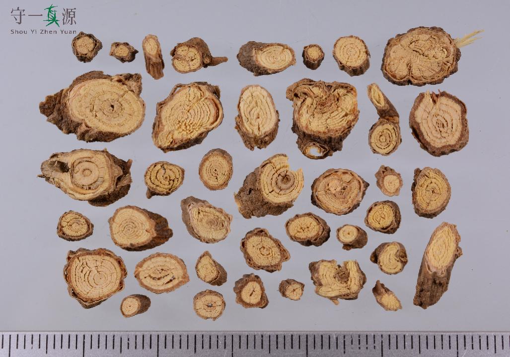 中药真伪鉴定案例,中药鉴定真假找谁