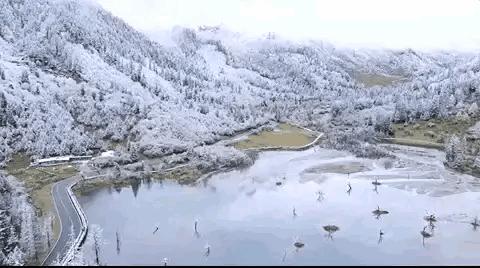 “雪打六九尾，寡妇要发愁”，明日六九尾，寡妇为啥因下雪发愁？