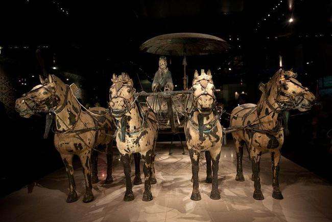 说文解字194课视频,说文解字部首540讲解