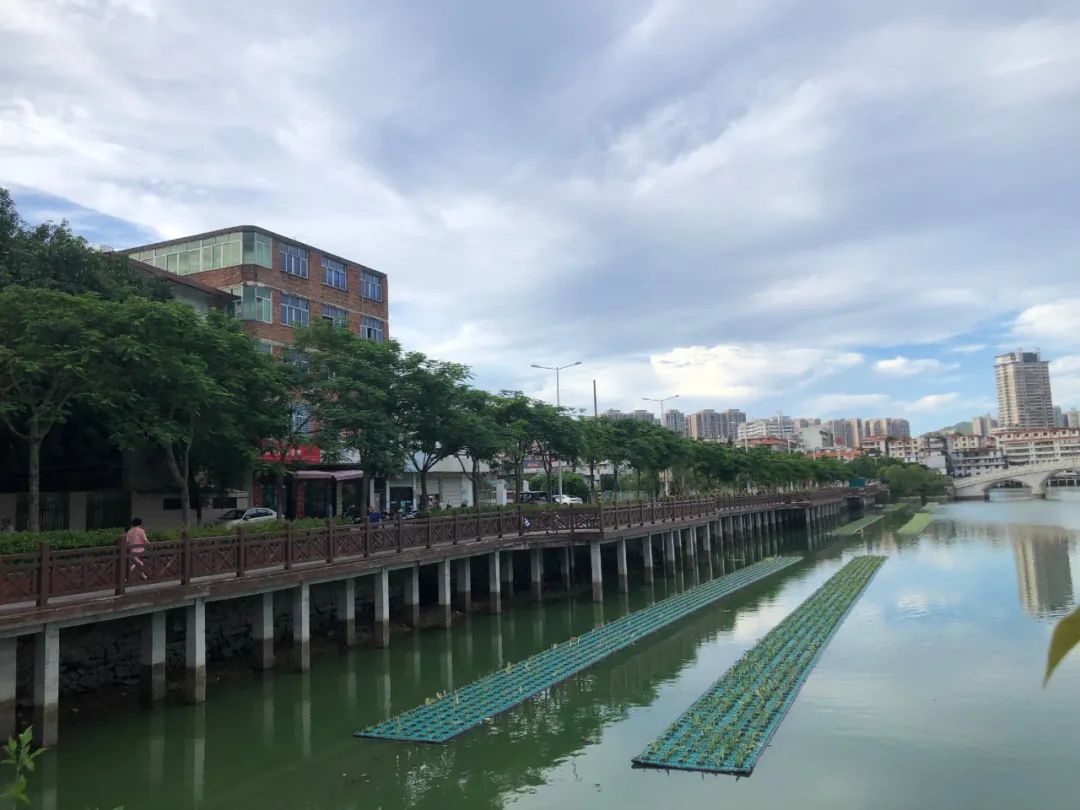 浮岛是什么样子的,浮岛是什么样的