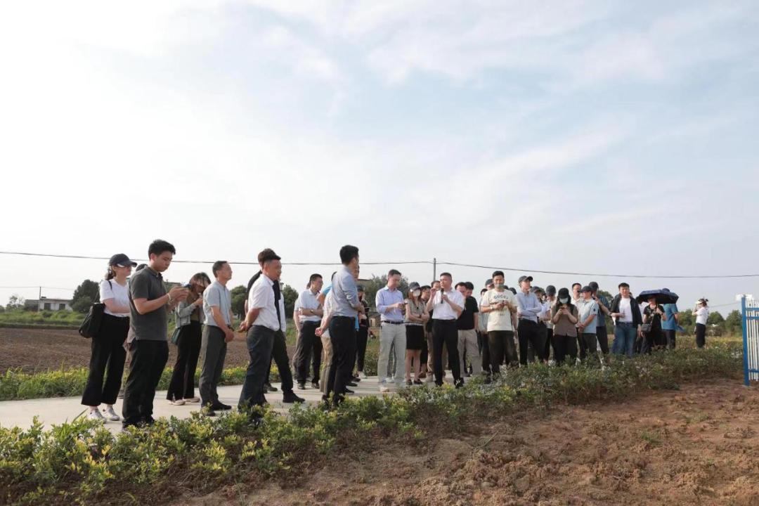 邮储银行三农金融发展方案,邮储银行金融支持乡村振兴亮点