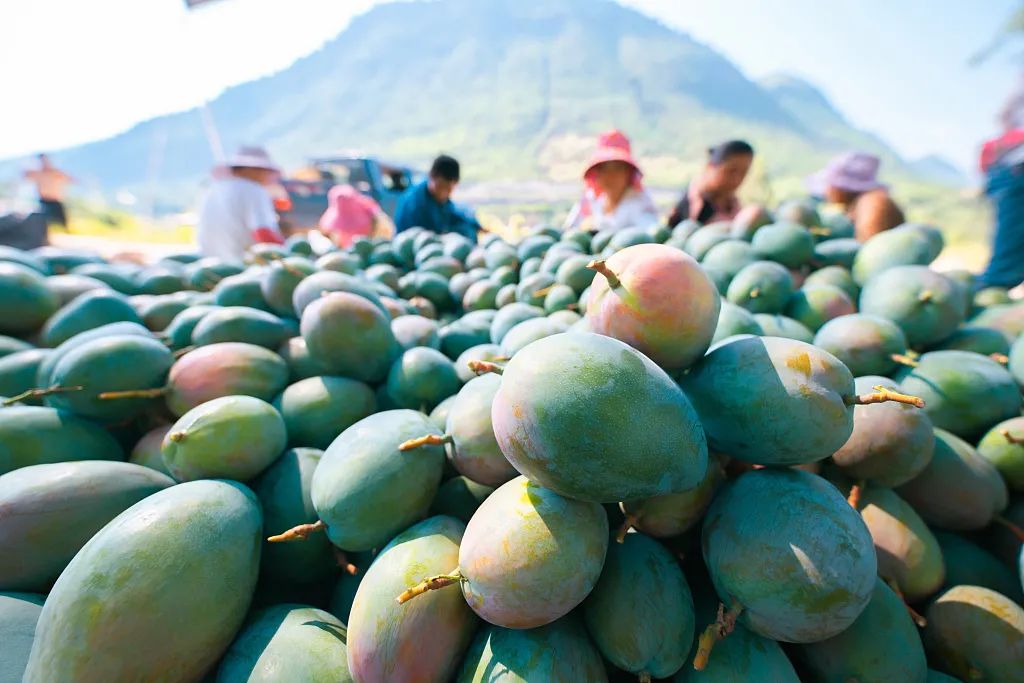 喜欢在这座江南城市里生活,非常喜欢这座自带浪漫的美丽城市