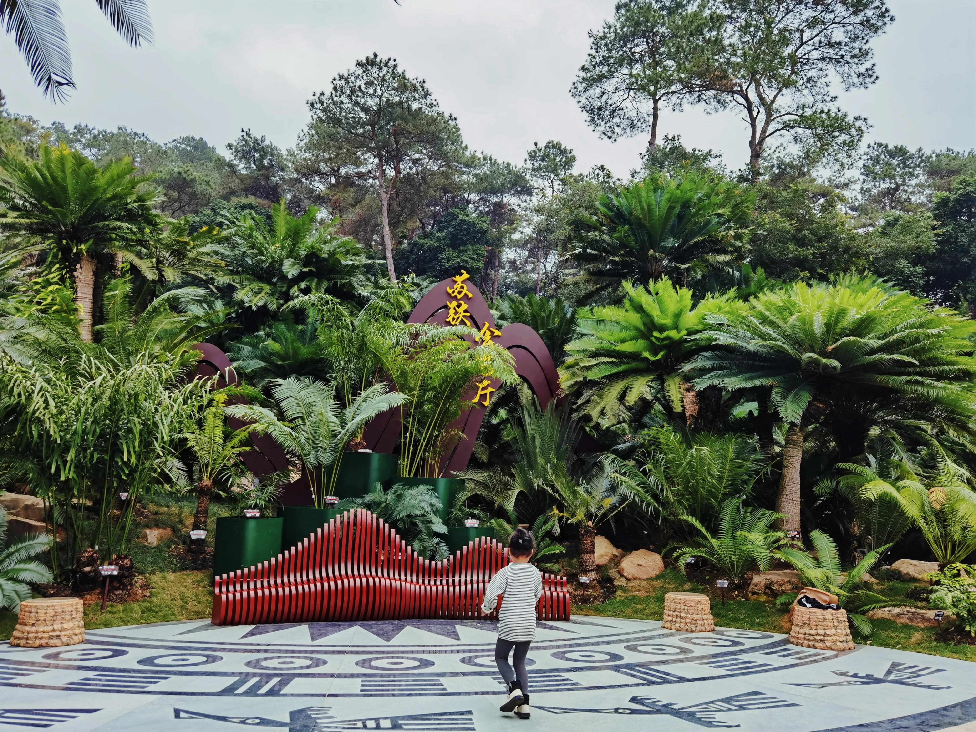 南宁是一个什么样的城市,南宁是个什么样的城市