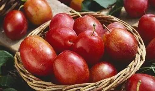 李子不能多吃是真的吗,李子不能多吃是吗