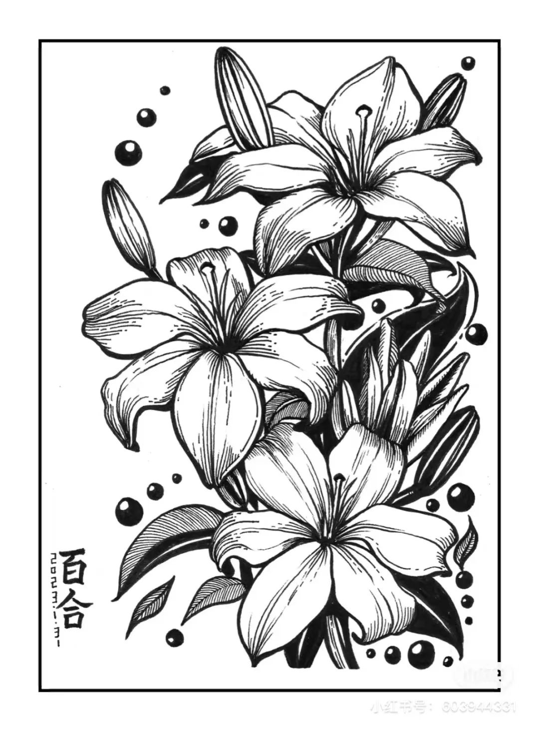 针管笔画线条练习,针管笔黑白装饰画线描