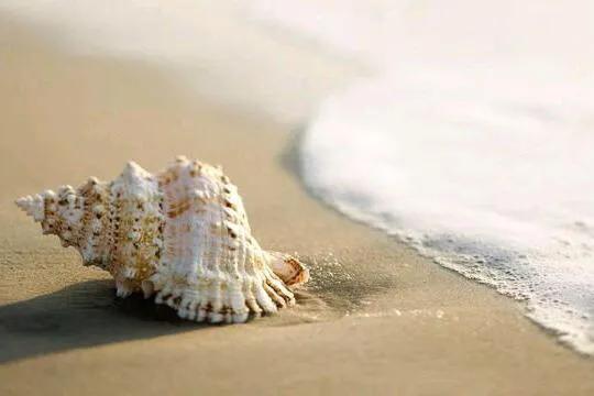 对你说这七句话的男人很爱你,男人对你说这三句话说明他很爱你