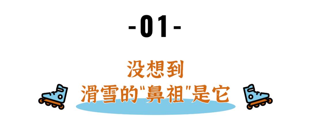 年轻时滑旱冰,滑旱冰不仅仅是年轻人的事