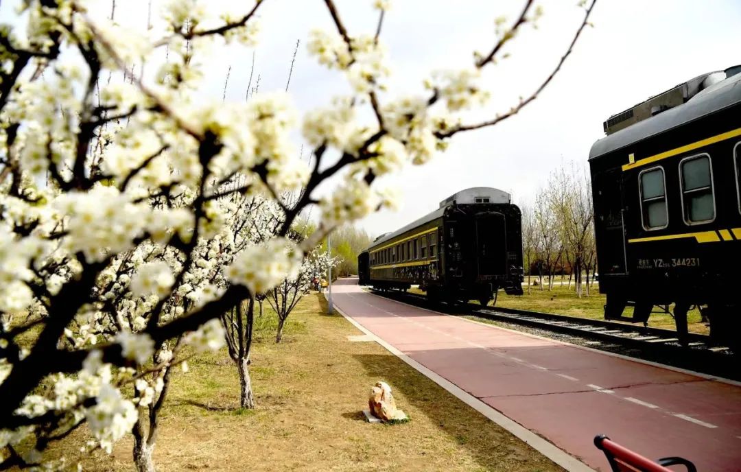 citywalk用脚步丈量城市,开启随性自由的citywalk