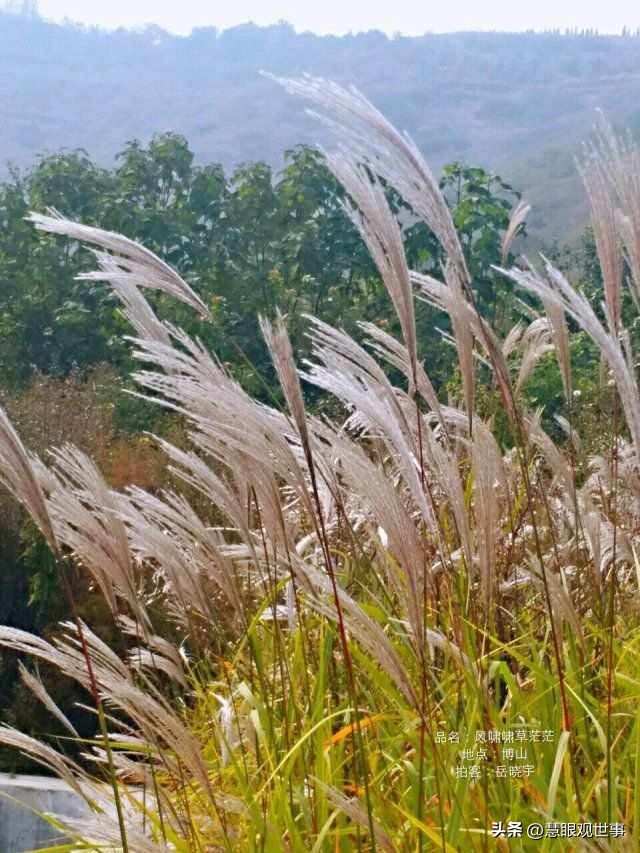 自然现象的古诗词,学生必背古诗词41到60句