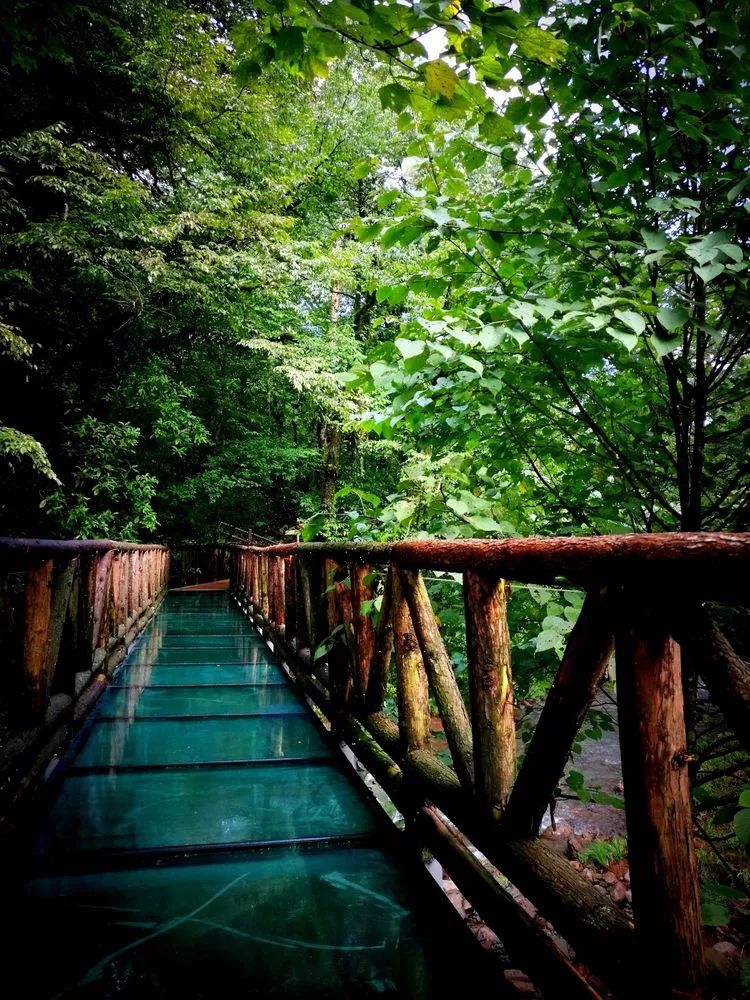 来雅安去哪玩最好玩,夏天去雅安旅游怎么样