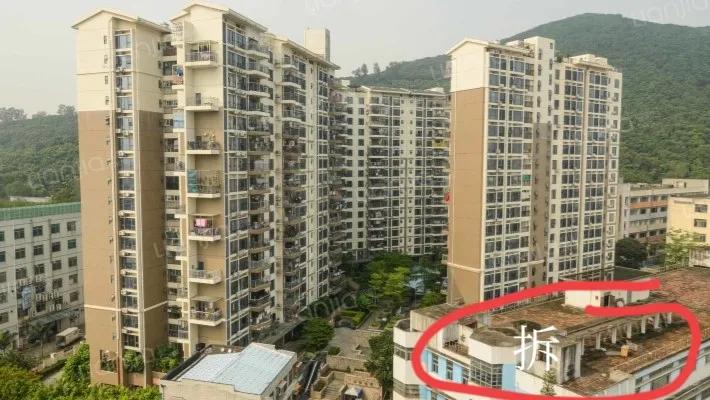 塘朗雅苑一期南山区珠光路314号,深圳南山西丽塘朗雅苑房价