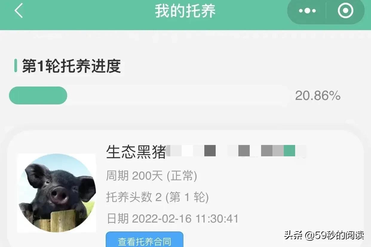 认养种植什么意思,认种认养新模式