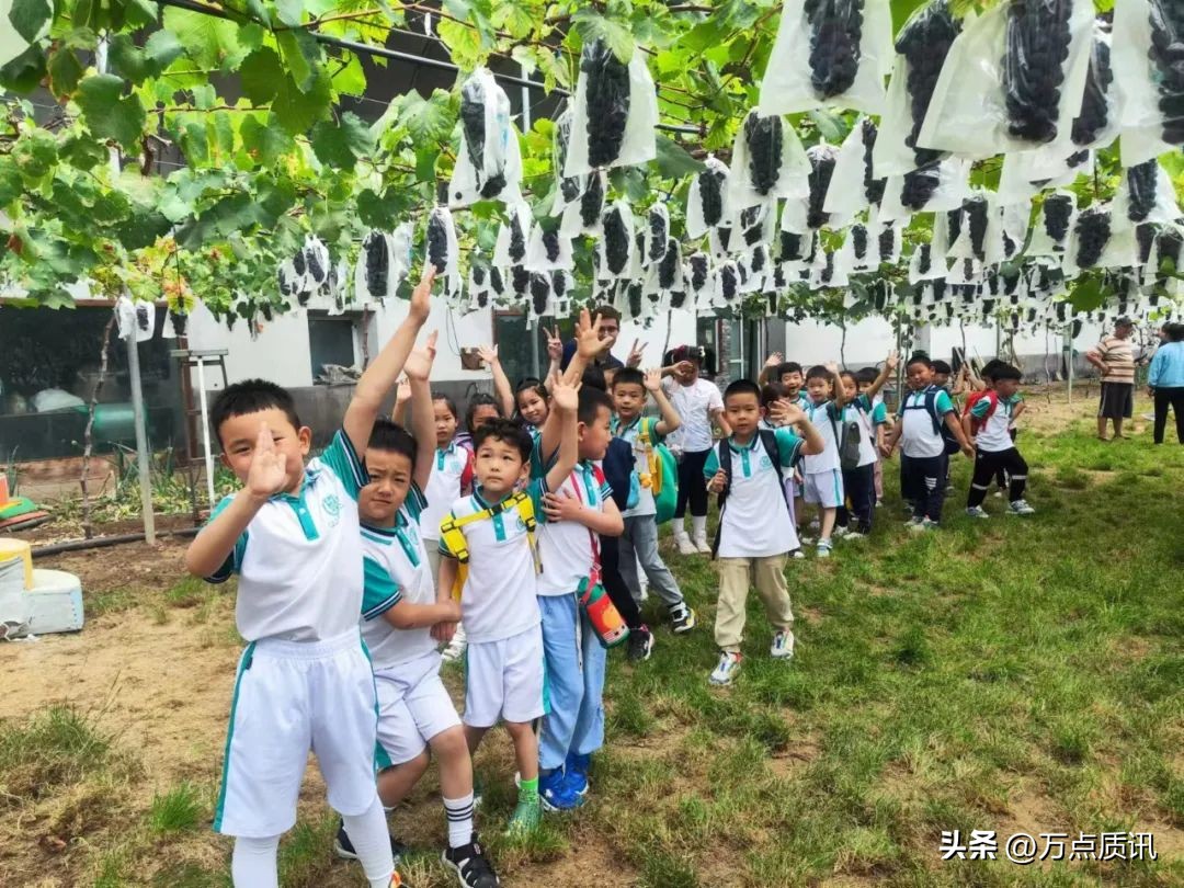 展才艺、练市场、摘葡萄、看电影…幼儿园“六一”主题周精彩回眸