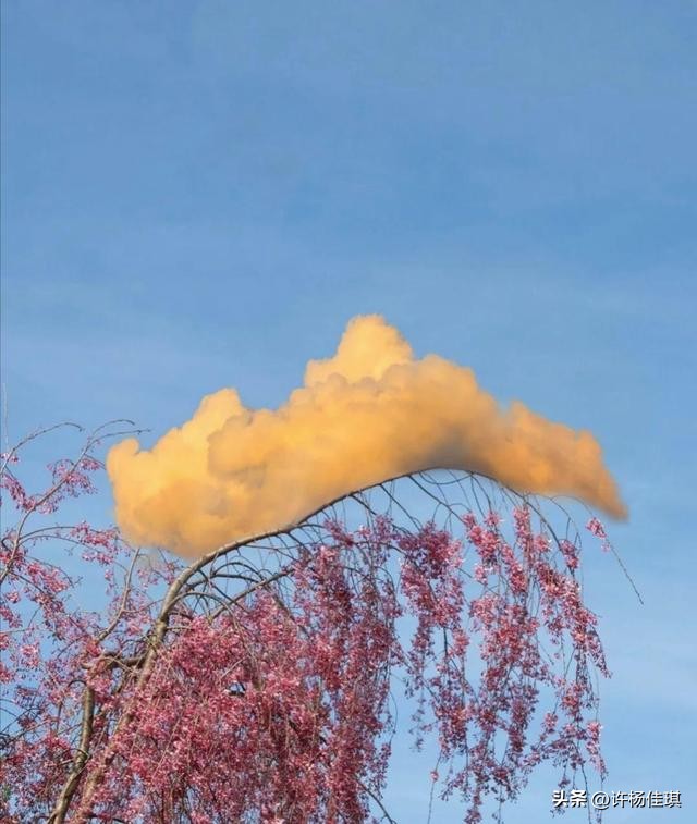 12星座智商排名,12星座性格特点漫画