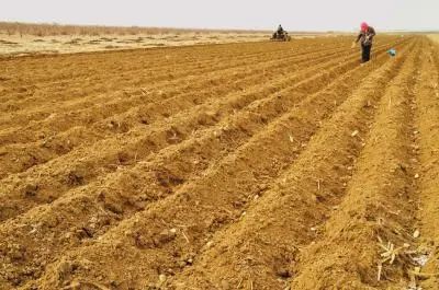 个人土地流转中间人怎么签订合同,土地流转私下签订合同是否有效