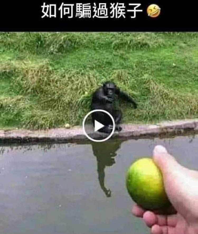 win12什么时候发布2027,windows12是不是最新版的电脑系统