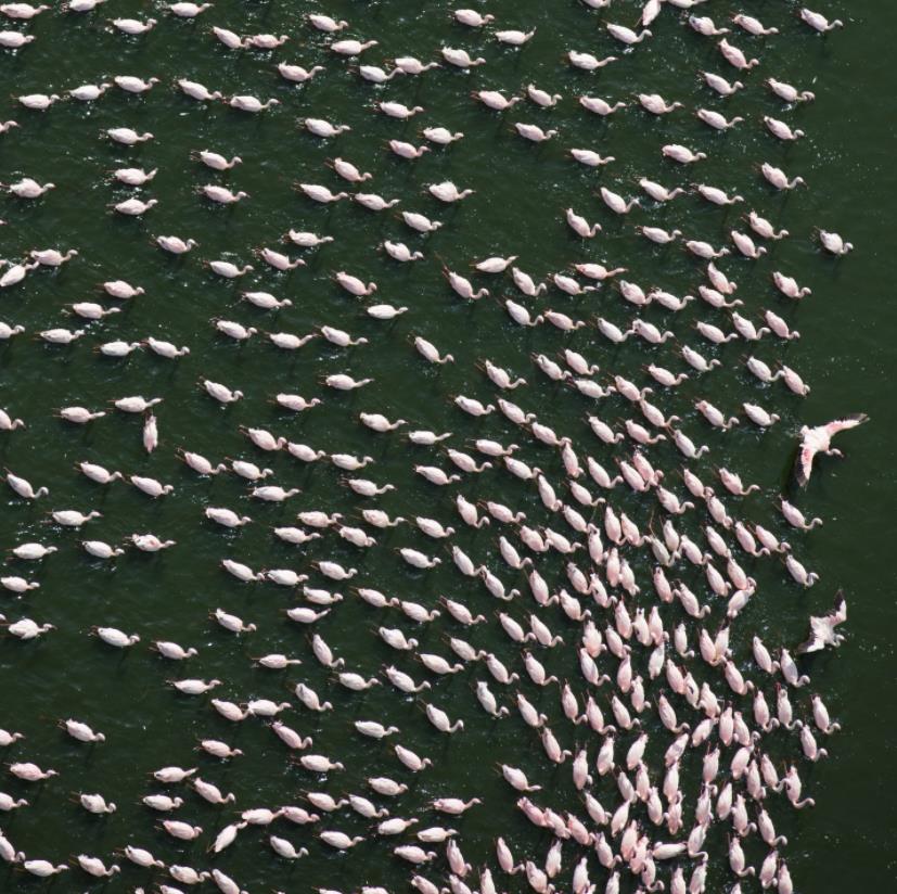 美国女人的收藏品,全美服装比赛上的佳丽,40张照片带你看全球