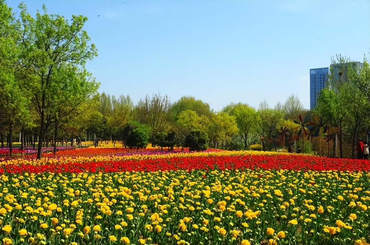 清明假期免费景点郑州周边,清明小长假适合去哪里玩郑州附近