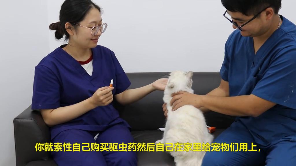 如何辨别耳螨,如何辨别耳垢和耳螨