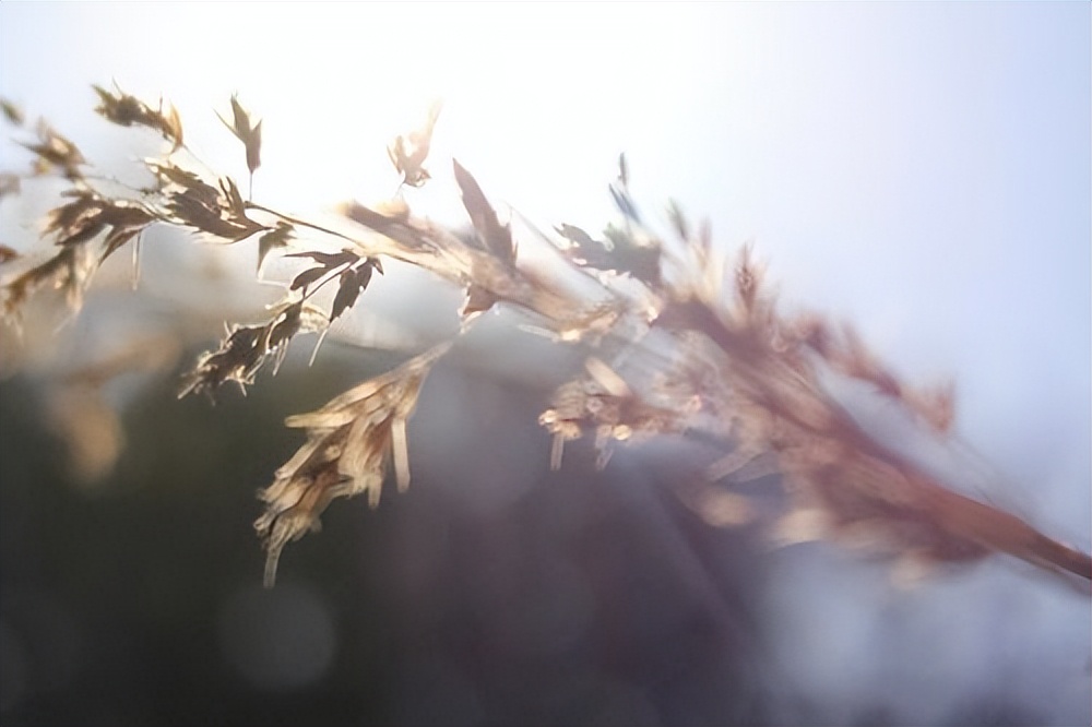 一个女人的品味看她的鞋子,一个女人过得好不好很容易看出来