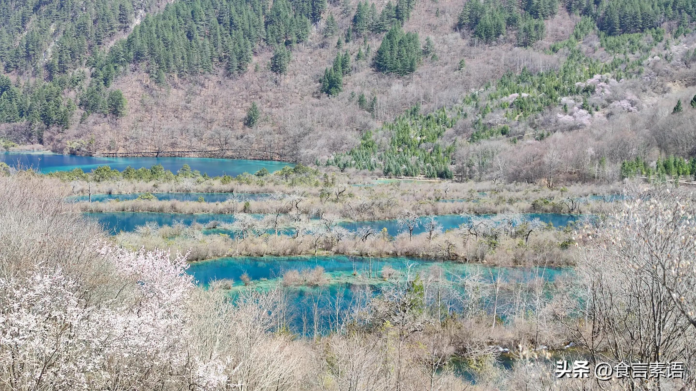 2024年九寨沟自由行全攻略,九寨沟2024年五月10号是枯水期吗