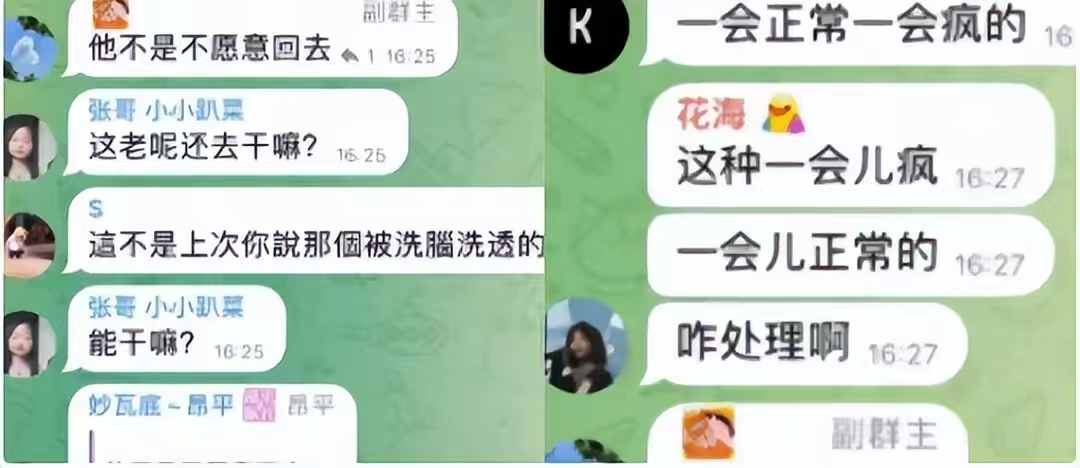 缅北将女子*脑洗**打傻后遣返，享受电击，回国人已疯，遭遇无情嘲笑