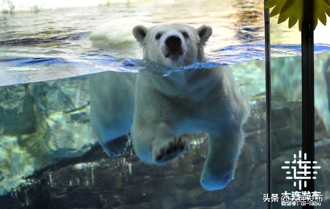 最新旅游景区发展,杭州大明山风景区五一攻略