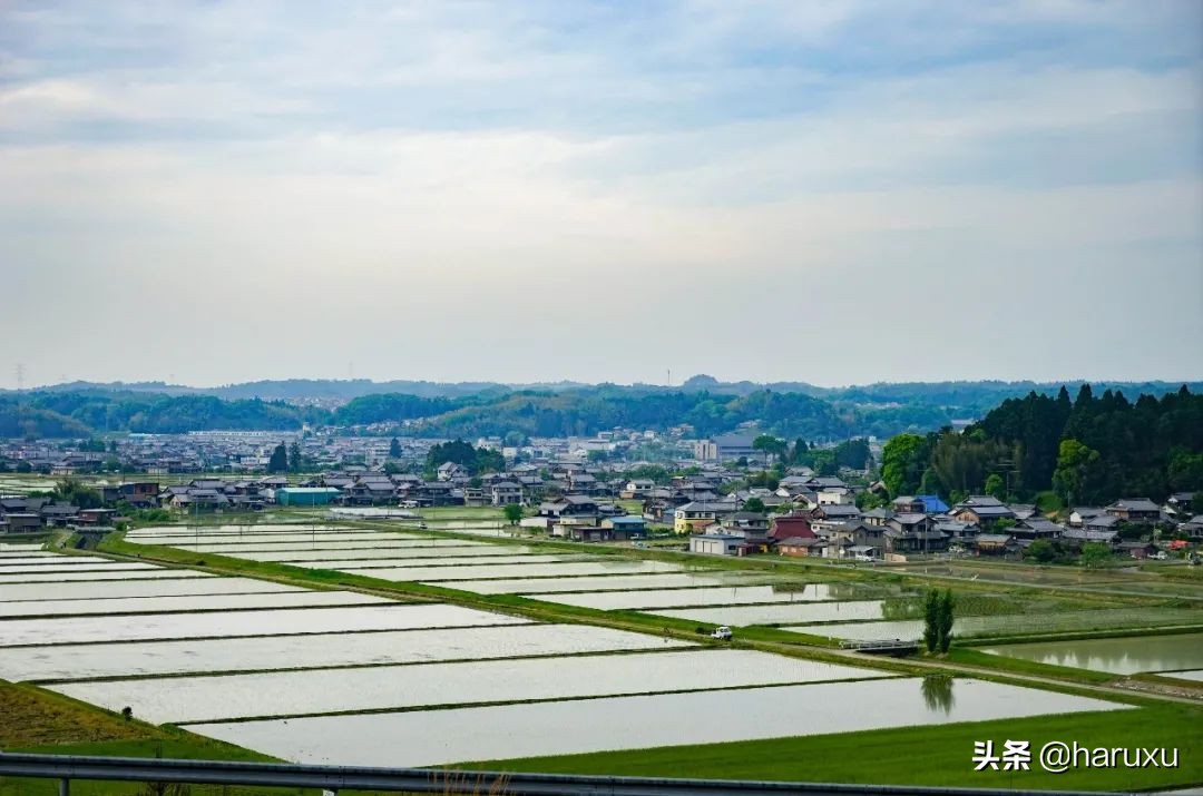 天下厨房滁州,天下厨房大阪
