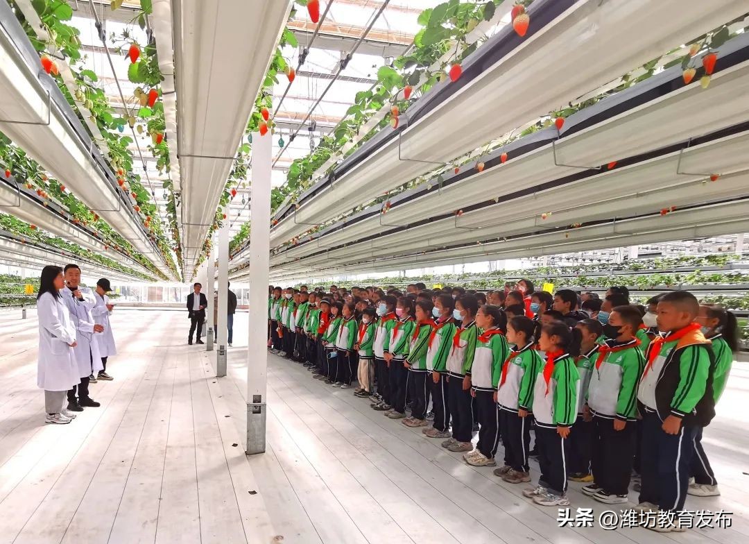 周播报,新闻播报周播