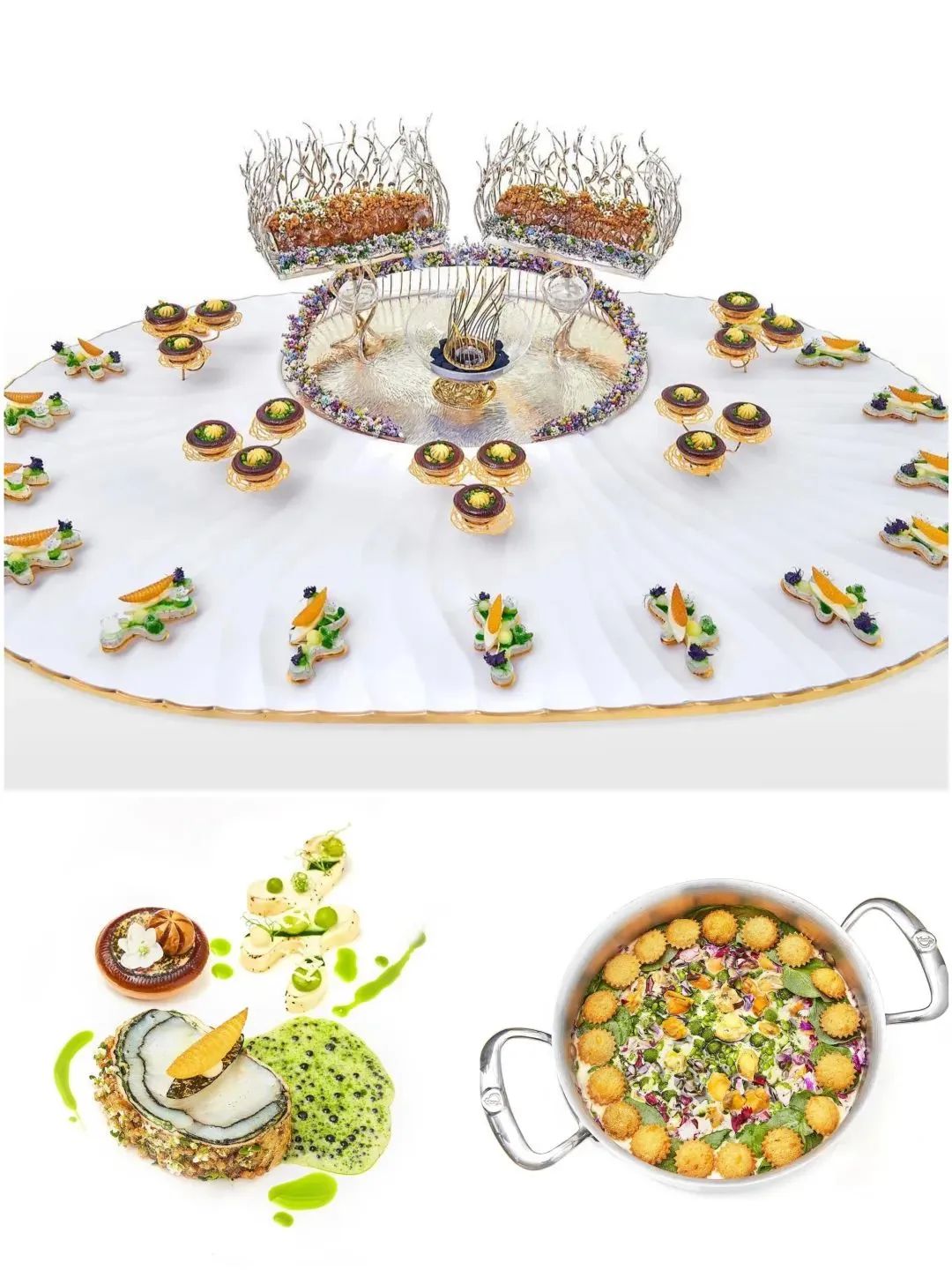 2023博古斯世界烹饪大赛超燃剪辑 (博古斯世界烹饪大赛中国代表队)