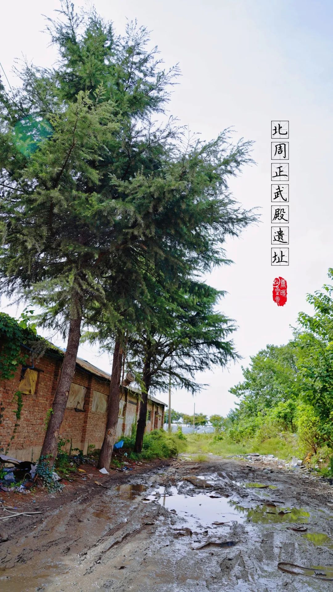 【陕西西安】汉长安城中的北周正武殿遗址帝王梦想的见证人