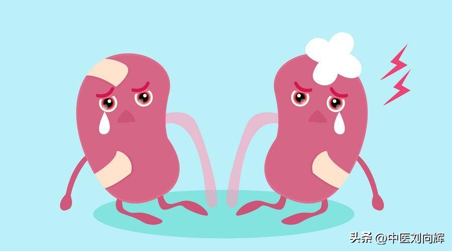 大便干燥脾胃虚寒吃什么药好,大便不成形吃油腻拉肚子怎么调理