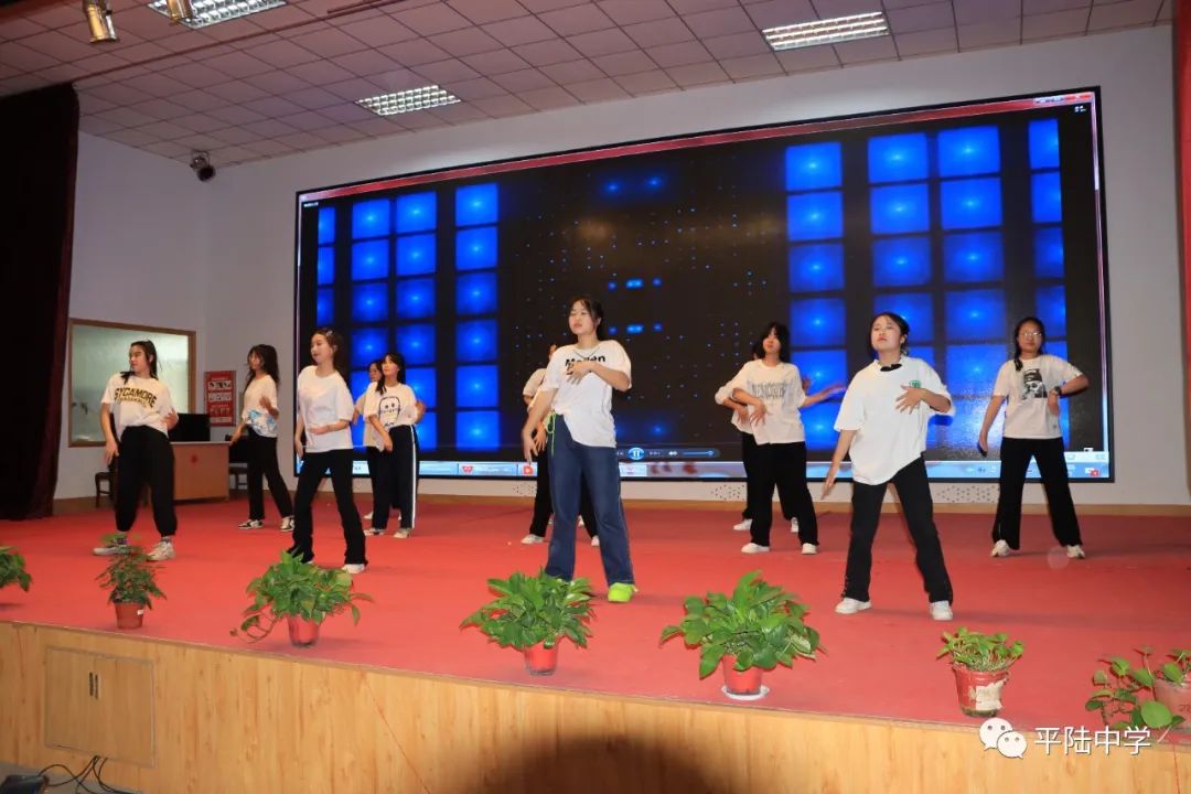 骞抽檰涓绀惧洟琛ㄦ紨,骞抽檰涓绀惧洟娲诲姩