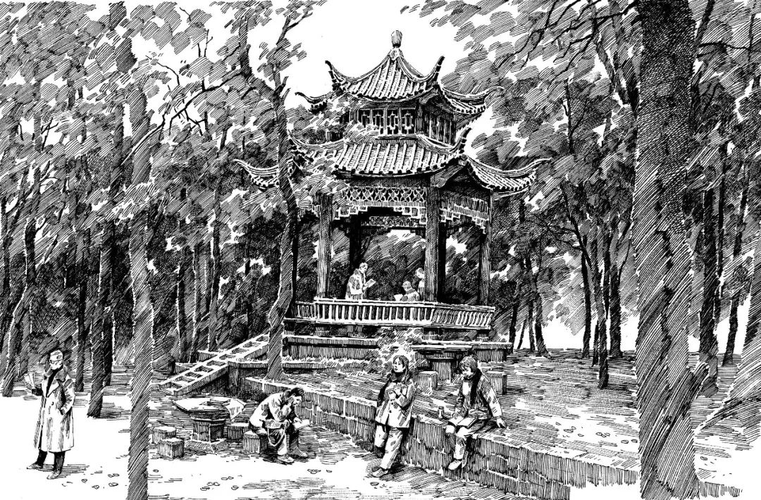 回忆1982年生活,1982年你过得怎么样