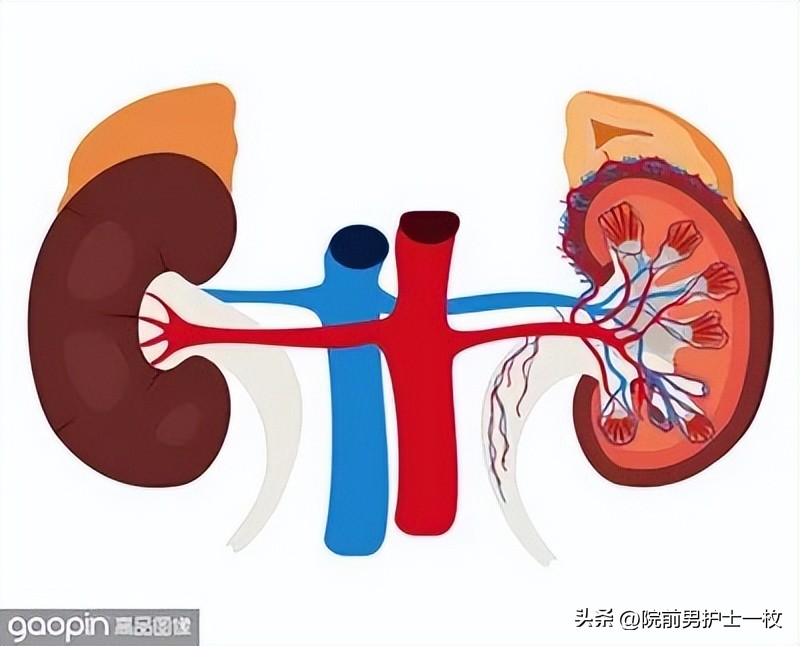 低钾性周期性麻痹怎么补钾,低钾老人吃哪些食物可以补钾啊