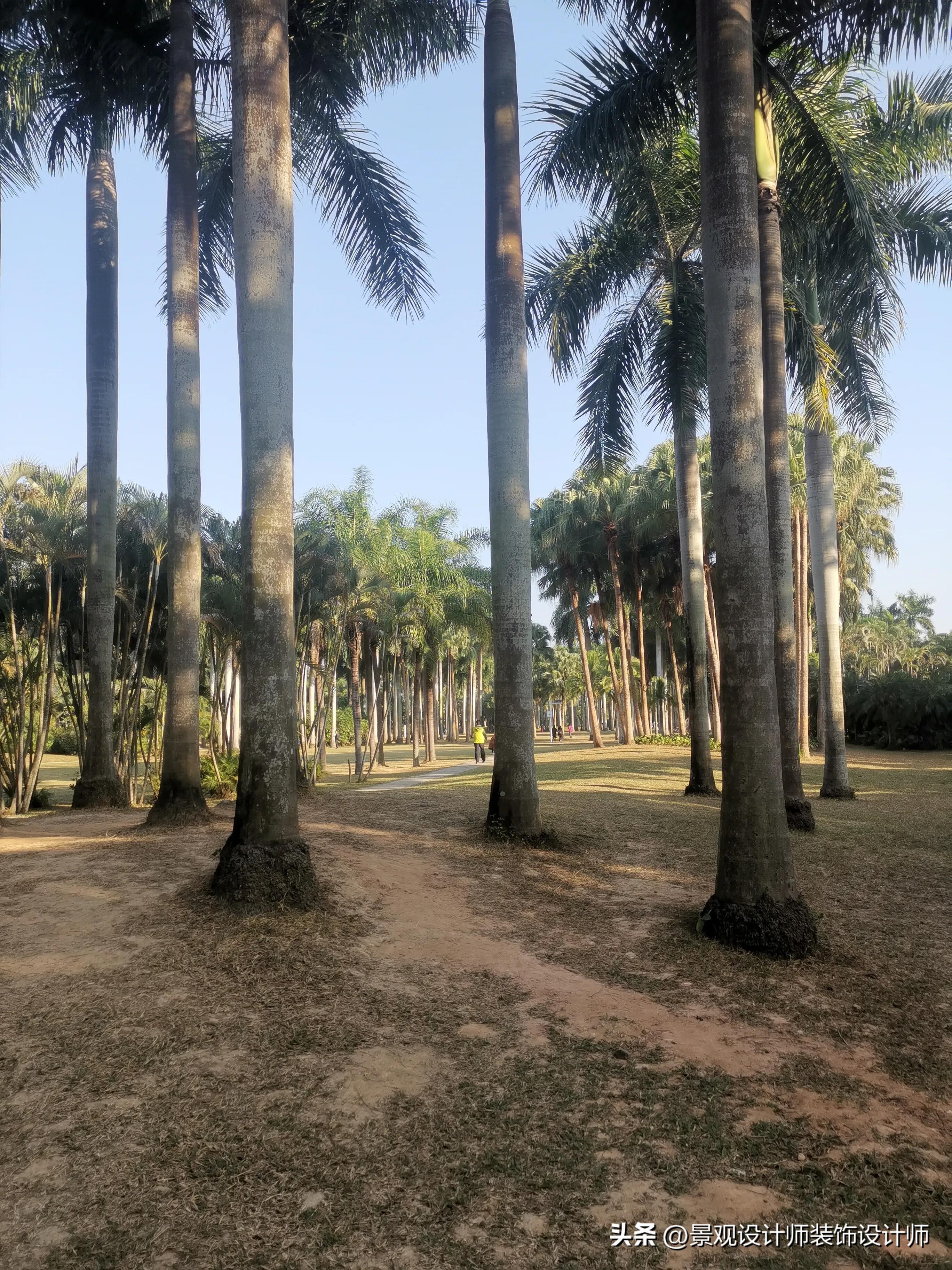 深圳市东湖公园广场舞,深圳市东湖公园收费标准