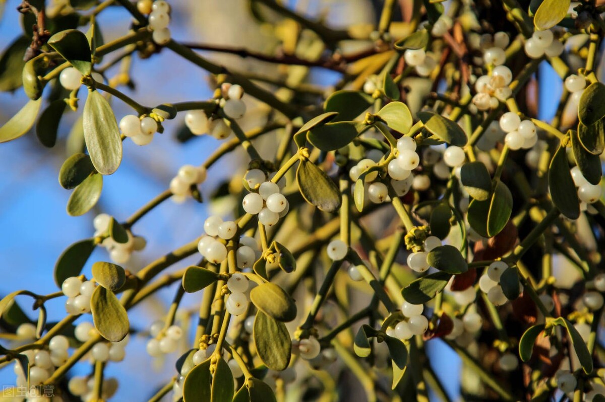 Okay,Illgiveitashot.好,那我试试吧