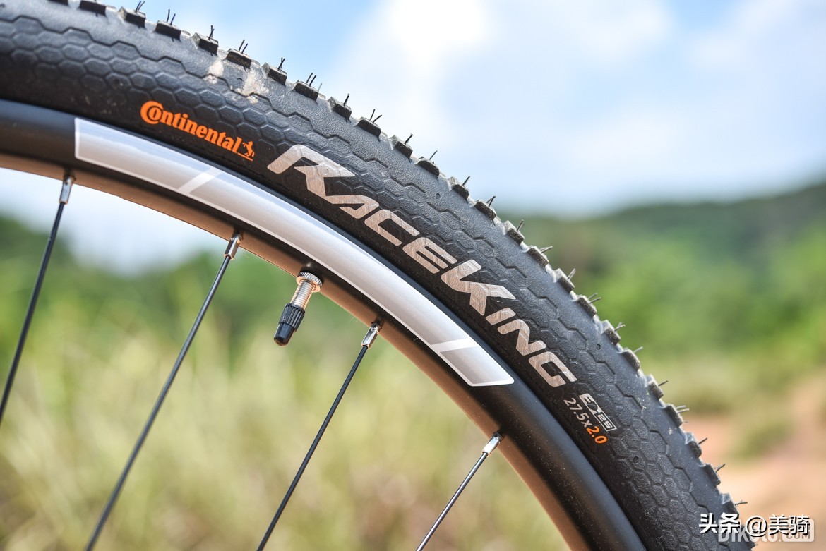 双盘24速山地车推荐,双盘24速碳纤维山地车