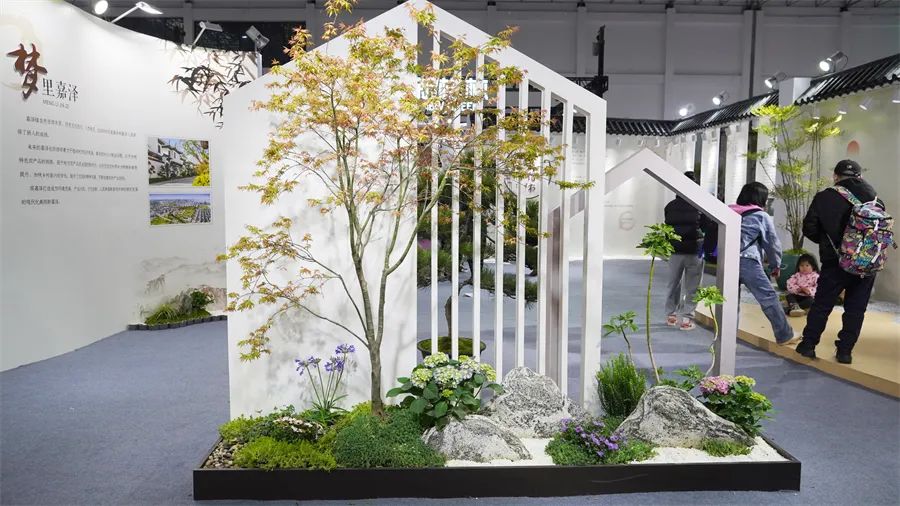 镇店之宝被抢购，“亚洲最美花展”上盆栽“吸睛”又“吸金”