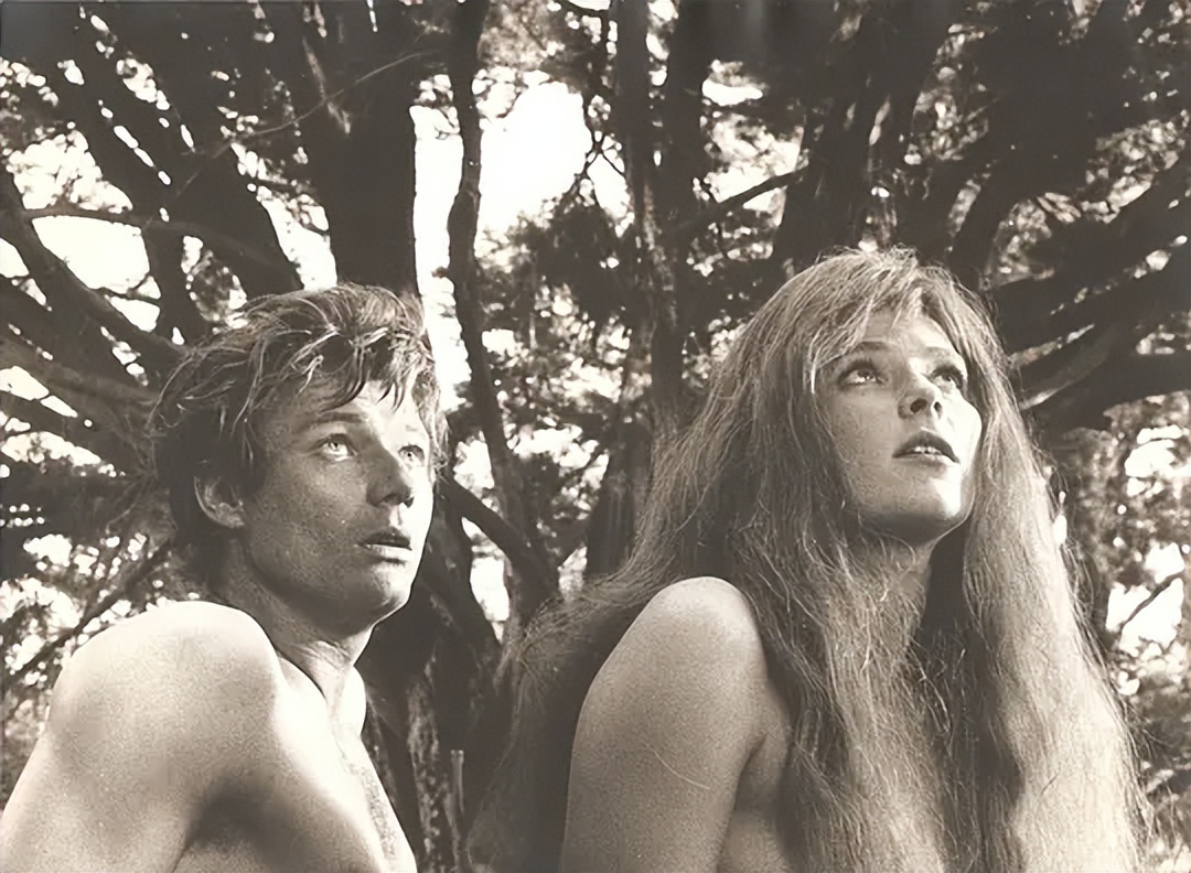 圣经电影创世时代,圣经中的意象及内涵