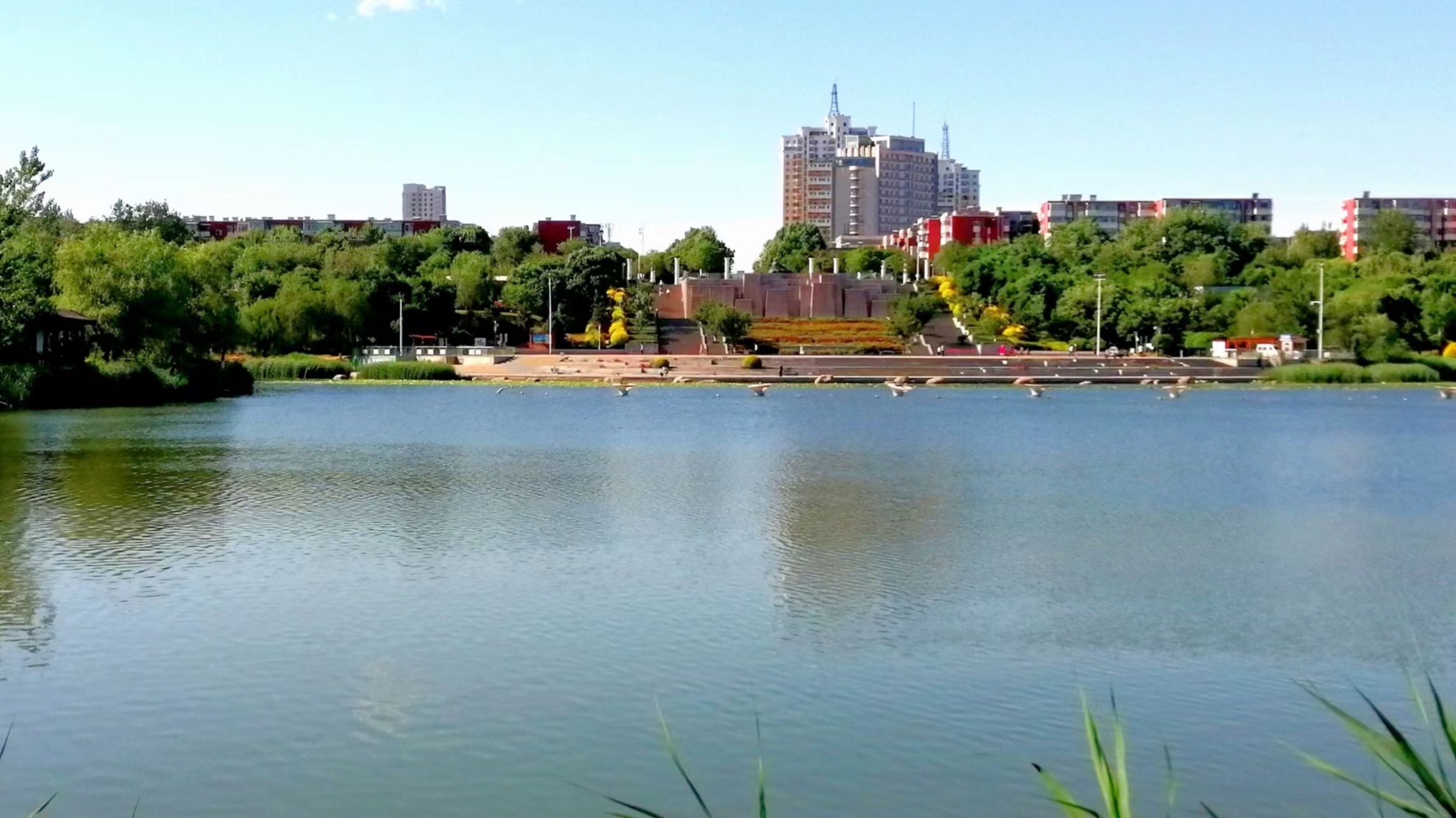 丰润清水润城项目规划,唐山清水润城近况