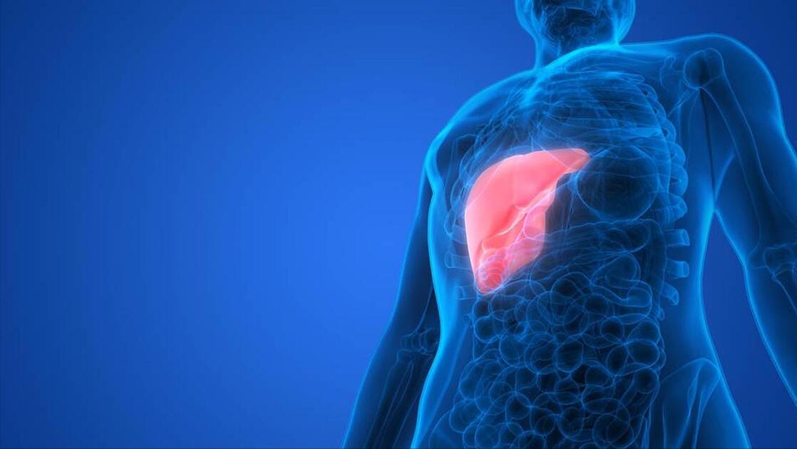 家里每天必吃的蚝油太划算了,家里做饭都要用蚝油