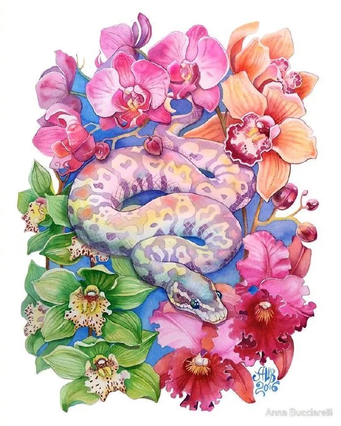 大神级水彩作品看完肯定不后悔,40张笔触狂放的水彩