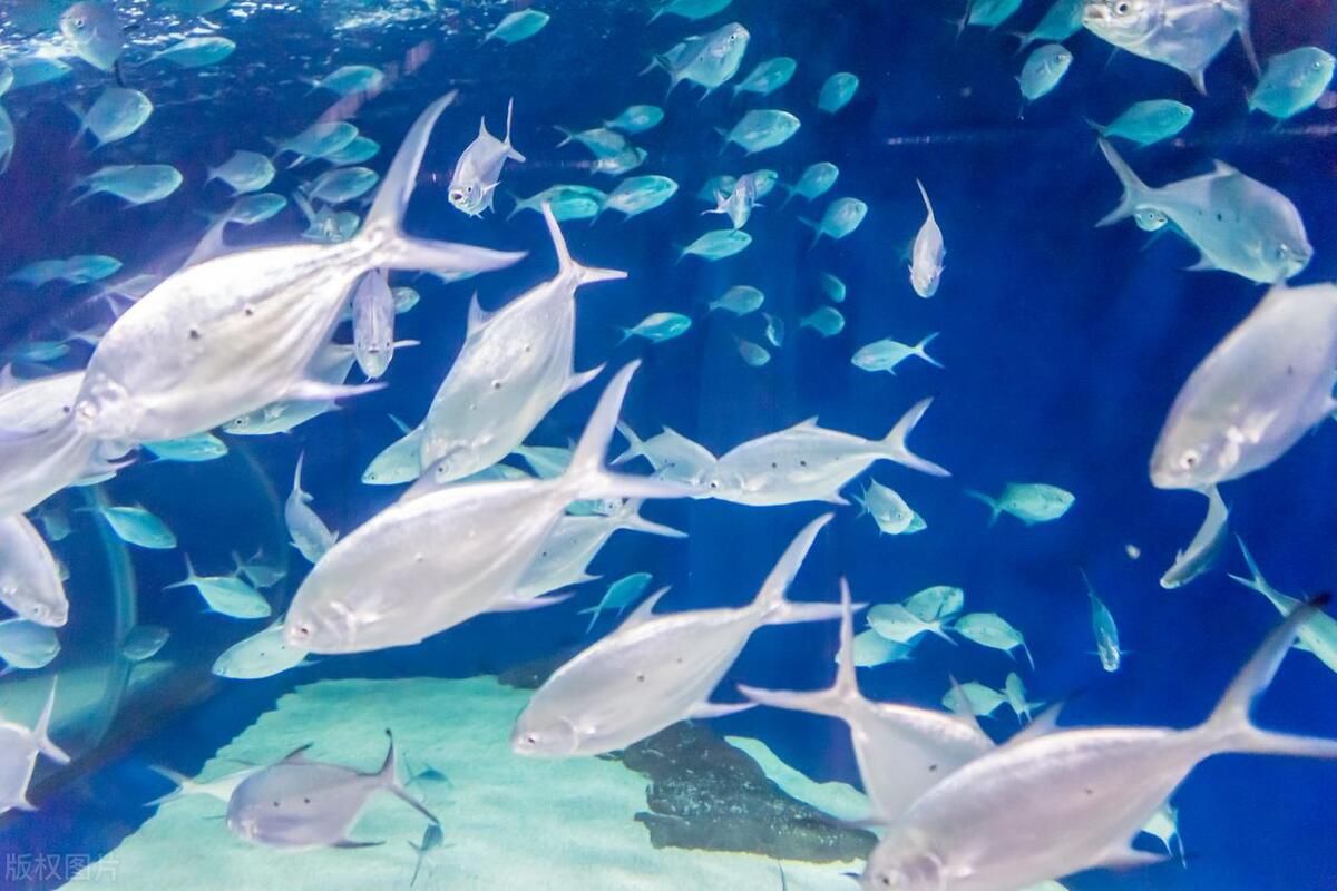 暑假去上海哪里旅游好,上海暑假适合带孩子旅游的地方