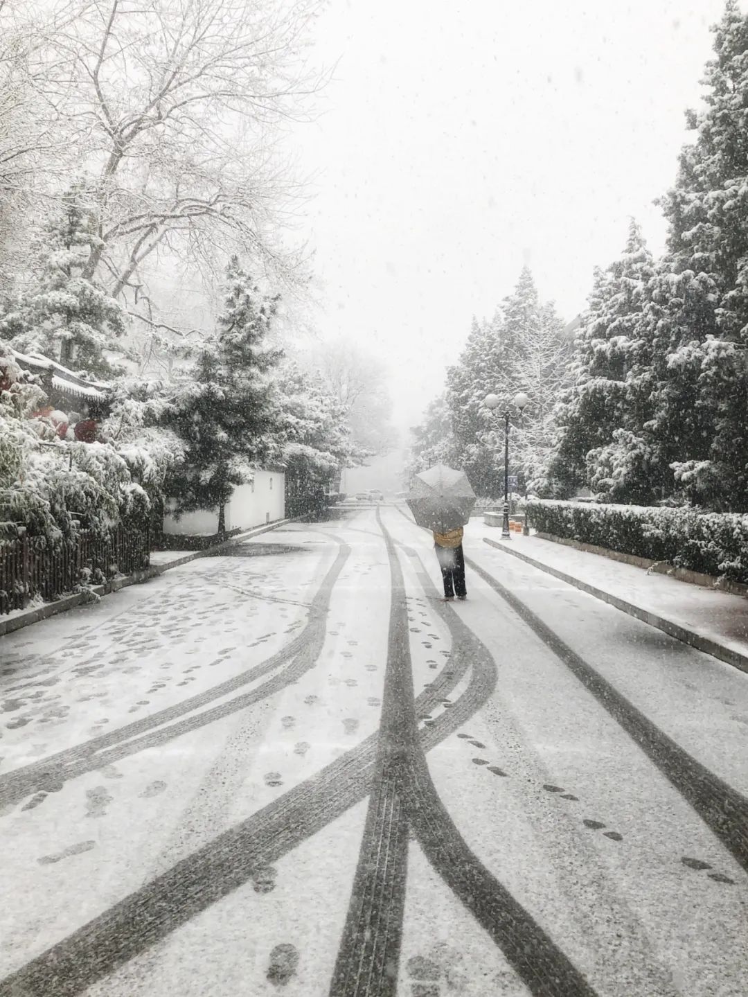 美丽的人民日报大院，我们温暖的家