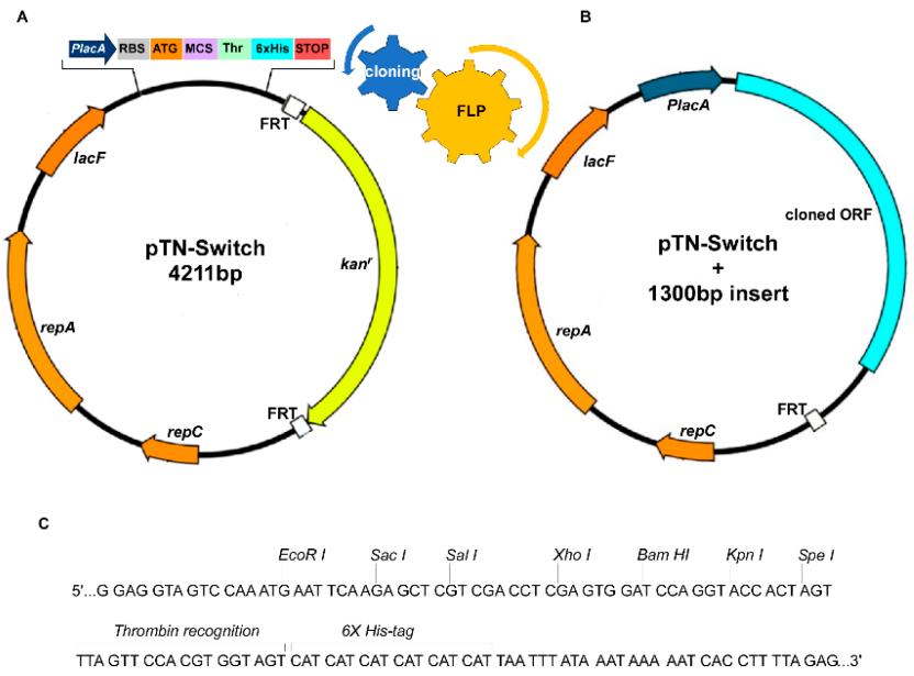 放线菌菌剂的作用包括哪些,放线菌代谢产物的作用