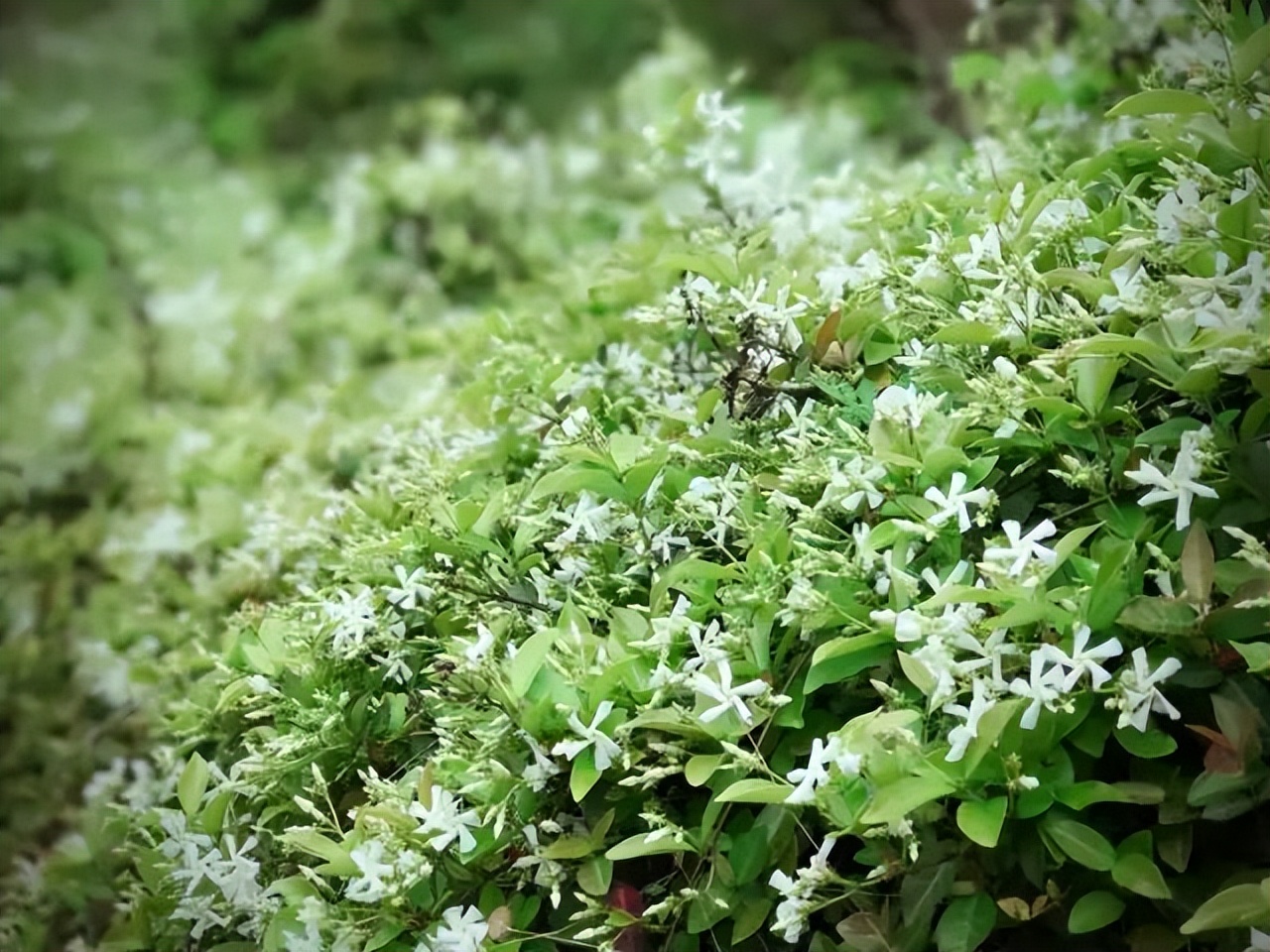 洞头海山民宿,温州洞头岛海景民宿