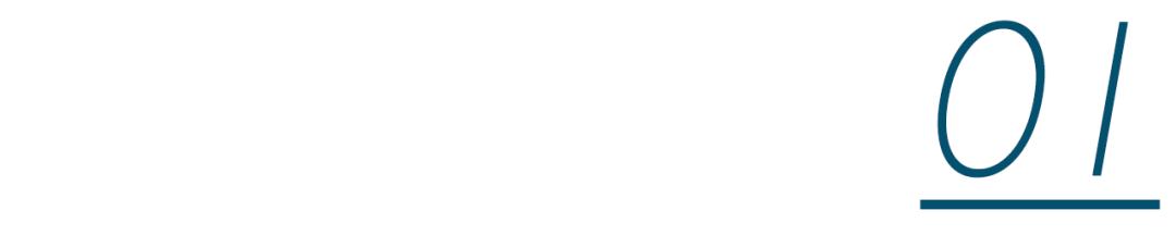 斯坦福哲学百科全书词条：自杀