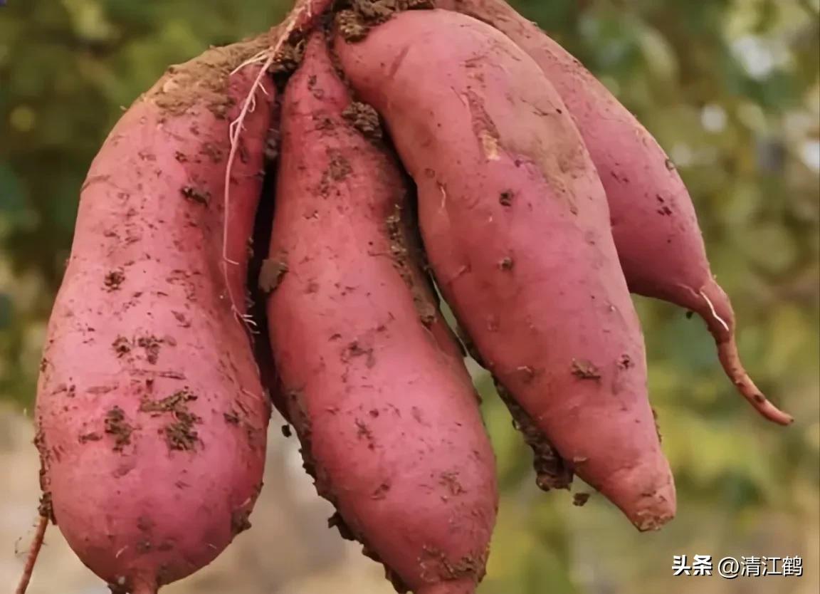 人称“蜂花醇”，有“9大增产用途”，对照使用，可提质增效