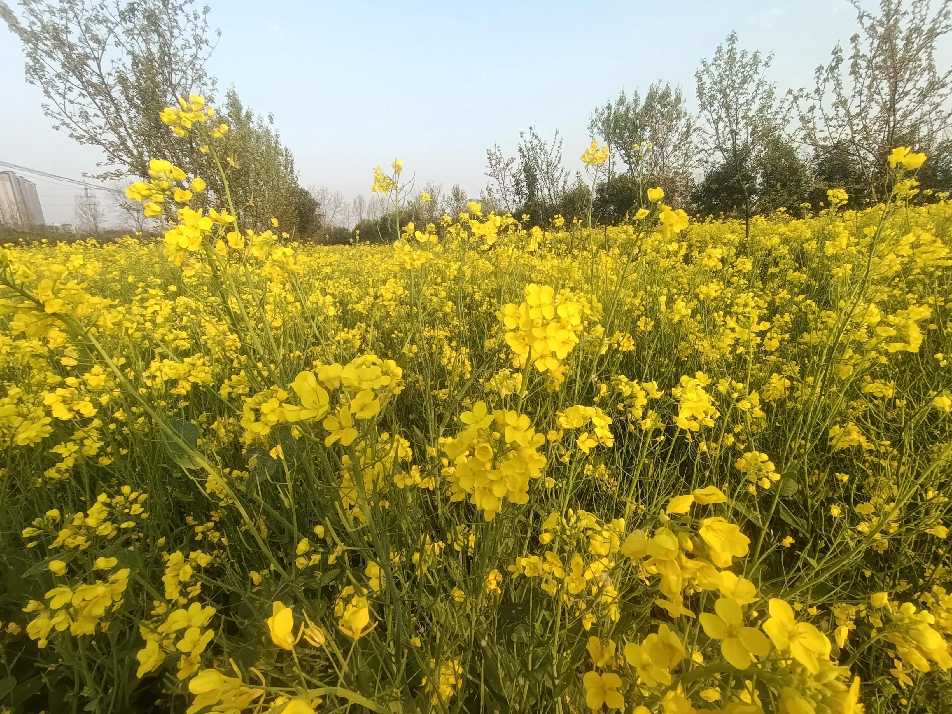 旅游怎么避免被套路呢,外出旅游注意哪些陷阱问题